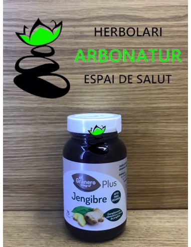 JENGIBRE  PLUS 75 Comp. 528 mg. EL GRANERO INTEGRAL