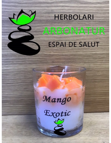 VELA AROMATICA VASO AROMA MANGO EXOTIC