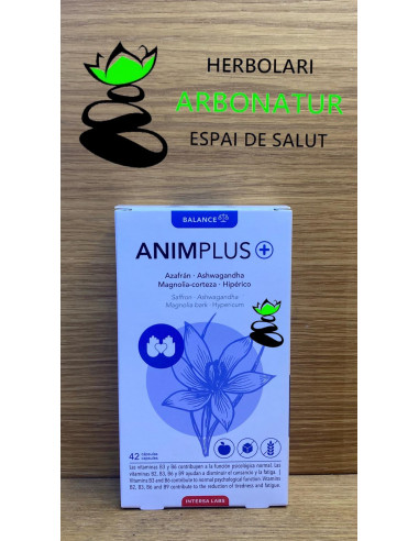 ANIMPLUS 42 Cap. INTERSA