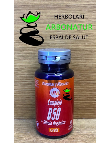 COMPLEJO B50 + SILICIO 60 Cap. YNSADIET