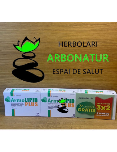 ARMOLIPID PLUS 20 Comp. PACK 3 ENVASES VIATRIS